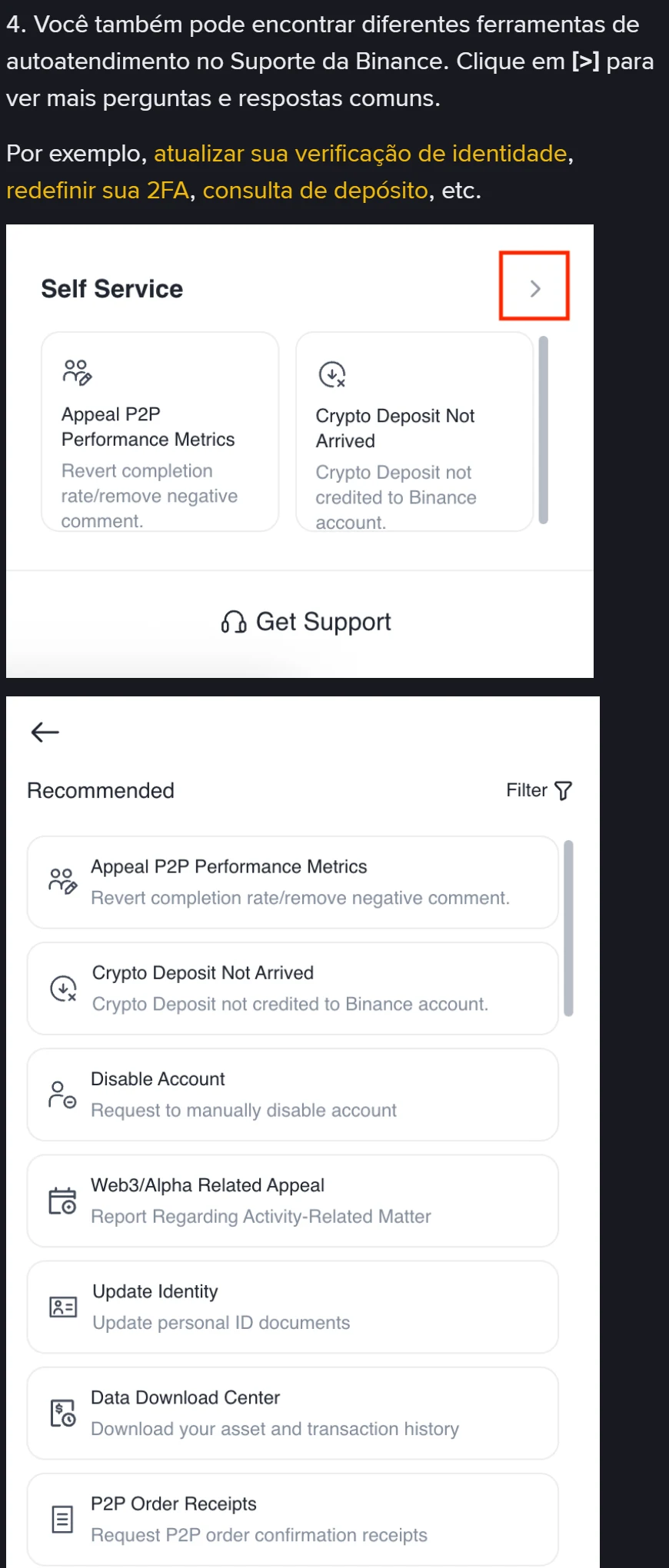 Bloco Self Service dentro do Binance Assistant com o botão Get Support e a lista completa de ferramentas de autoatendimento: recurso de métricas P2P, depósito de cripto não creditado, desativar conta, recurso Web3/Alpha, atualizar identidade e central de download de dados